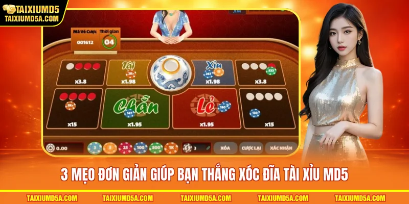  3 mẹo đơn giản giúp bạn thắng xóc đĩa tài xỉu MD5 