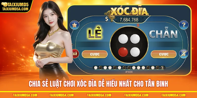 Chia sẻ luật chơi xóc đĩa dễ hiểu nhất cho tân binh 