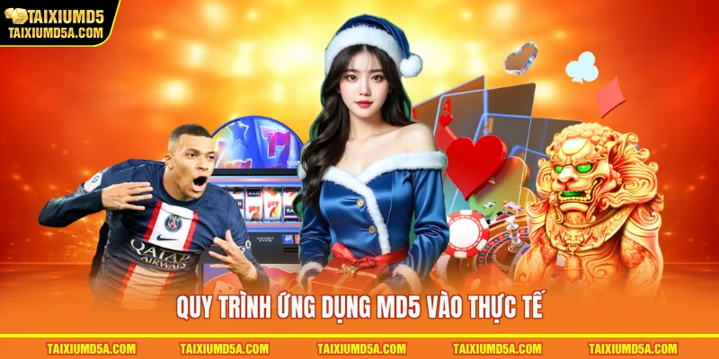 Quy trình ứng dụng MD5 vào thực tế